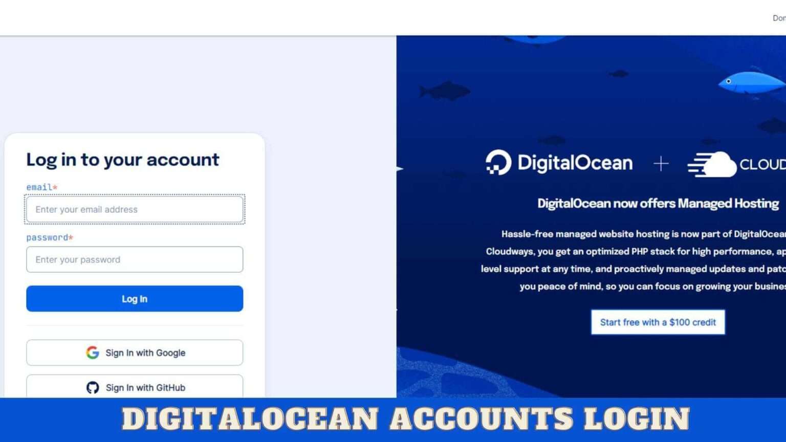 Buy Digital Ocean Account